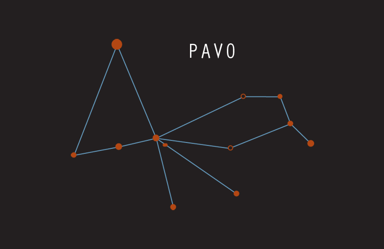 The Constellation Pavo